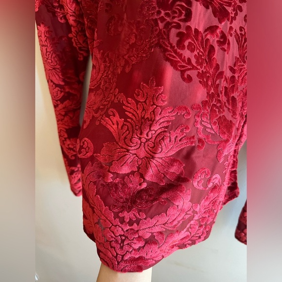 By Anthropologie Sheer Velvet Burnout Top size small - Picture 5 of 14
